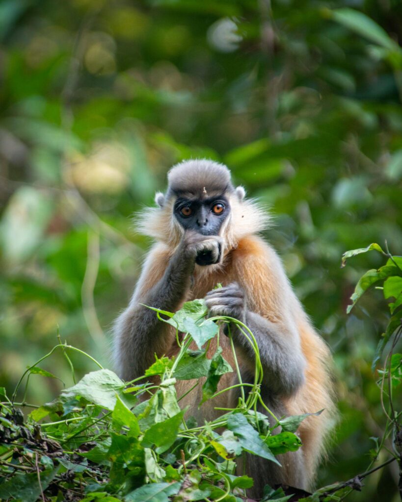 FOtFAt99xQKRhzNig0LOr0h8hMDDvXM8EoP 7VnYtd283pD7djXANUTt0k6mw6C1vgI6zy3vgFGYg9rLyY0CCFcOUwti2QSLzv QqvQlkUo | Best Tour Packages and Travel Guide in Assam